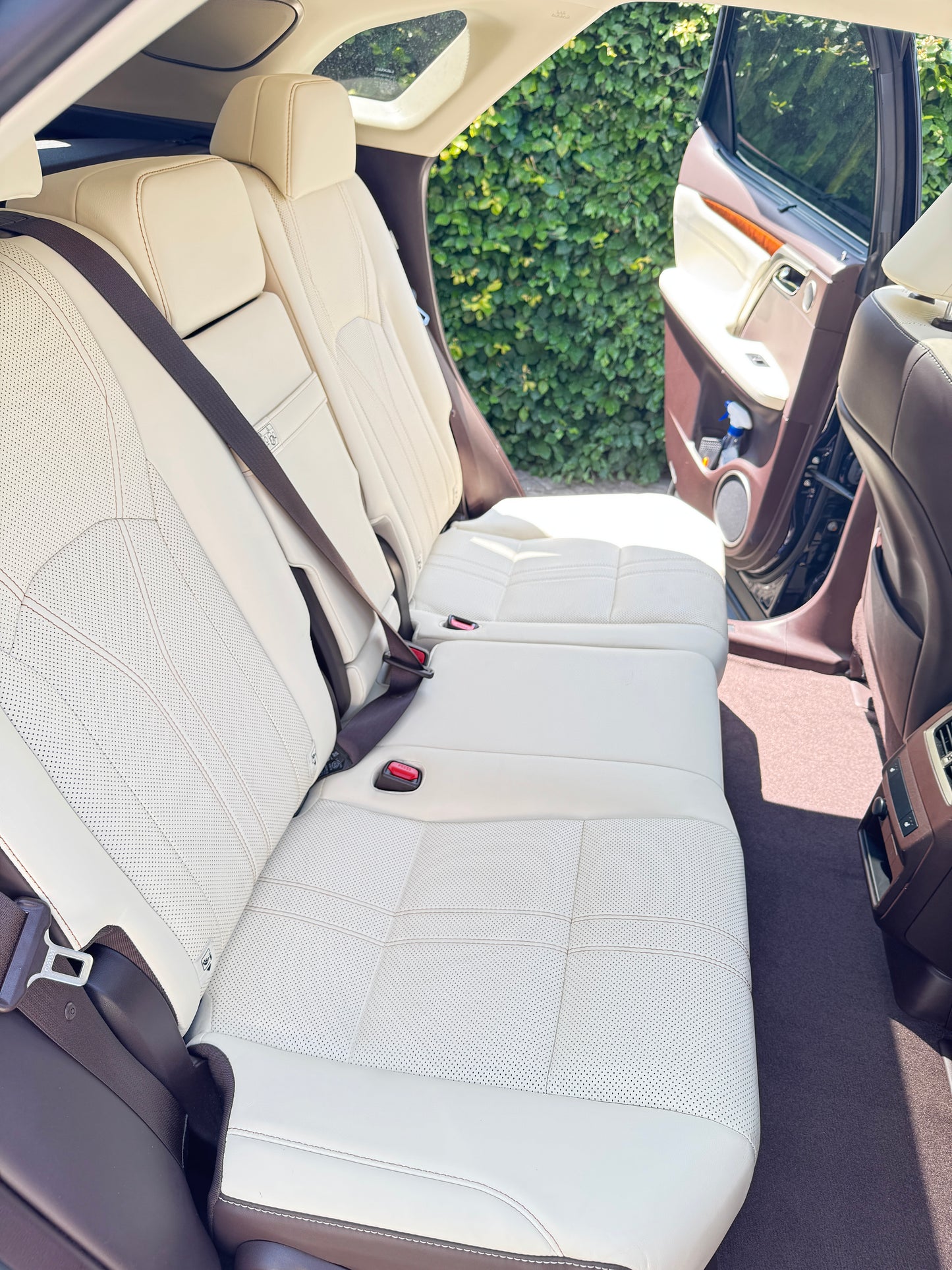 Interieur vlekken en geuren verwijderen auto