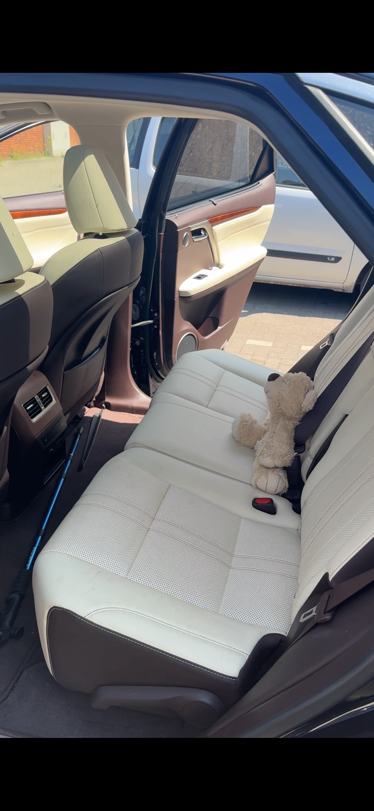Interieur vlekken en geuren verwijderen auto